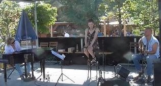 Fever Acoustic Rock - Jolene